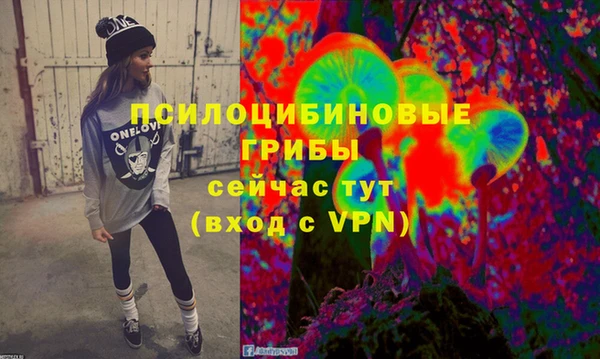 СК Надым
