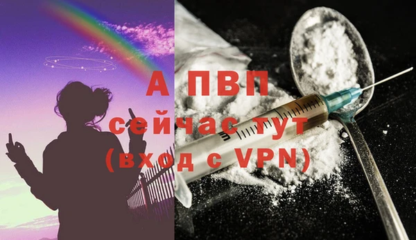 СК Надым
