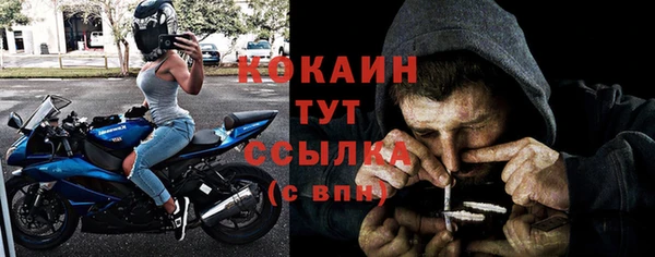 МДПВ Абаза